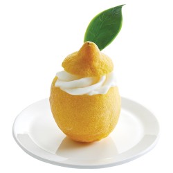 Les citrons givrés vandencasteele