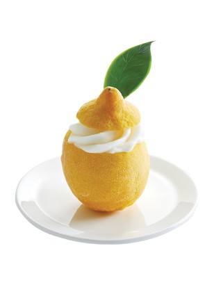 Les citrons givrés vandencasteele