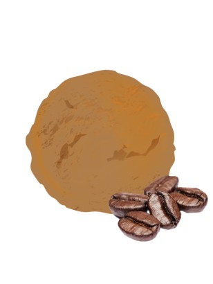 Notre crème glacée Van Den Casteele au café