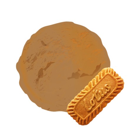 La crème Glacée qui se prend pour un biscuit belge : le spéculoos