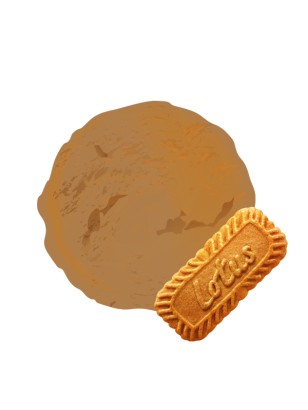 La crème Glacée qui se prend pour un biscuit belge : le spéculoos