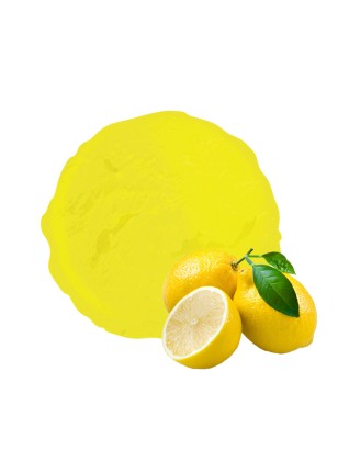 Sorbet vandencasteele plein fruit au citron