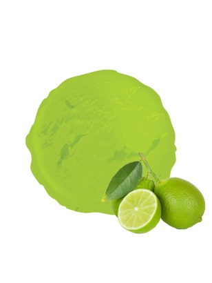 Sorbet plein fruit Vandencasteele au citron vert