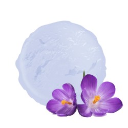 Sorbet saveur VIOLETTE