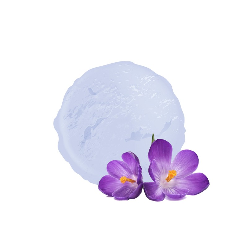 Sorbet à la violette de vandencasteele