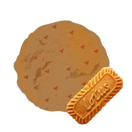 Le goût unique du spéculoos dans une crème glacée gourmande