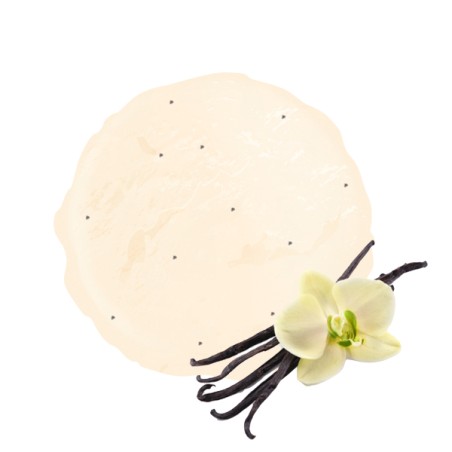 Notre authentique crème glacée vanille de Madagascar