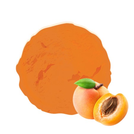 Un sorbet artisanal : un dessert rafraichissant et savoureux
