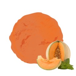 Sorbet plein fruit MELON