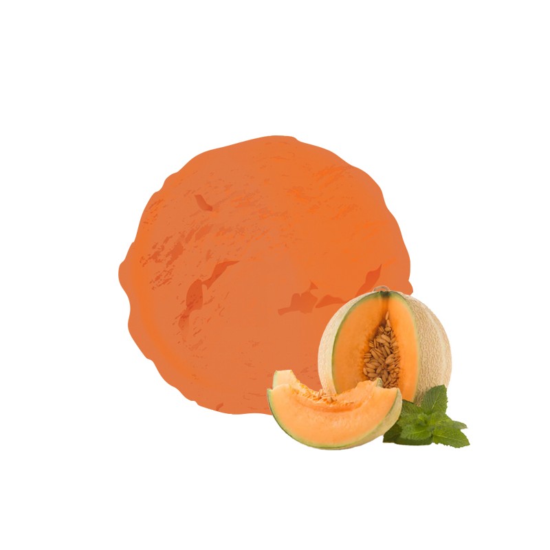 Sorbet original au melon par vandencasteele