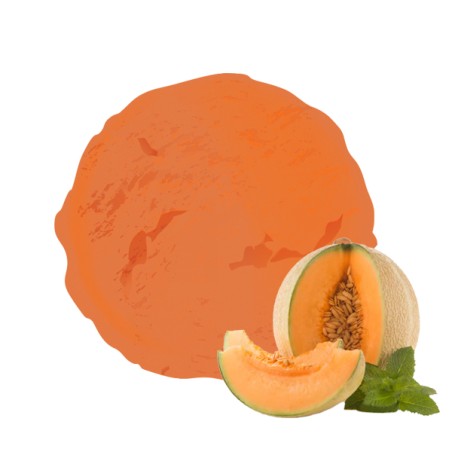 Sorbet original au melon par vandencasteele