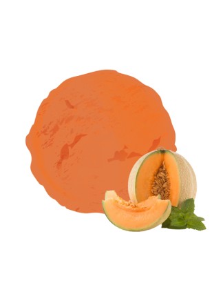 Sorbet original au melon par vandencasteele