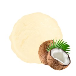 Sorbet plein fruit NOIX DE COCO