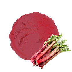 Sorbet plein fruit rhubarbe – Format familial 2,5 L