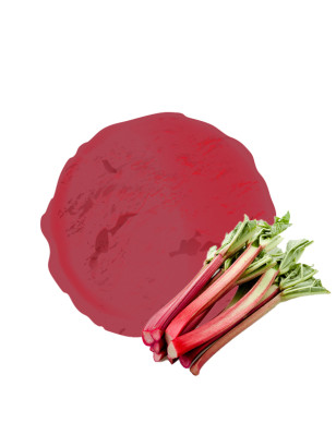 Sorbet plein fruit rhubarbe – Format familial 2,5 L