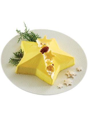 L'étoile de Noël