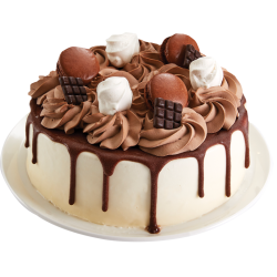 Gâteau Layer Cake Chocolat – Gâteau glacé gourmand | Van Den Casteele