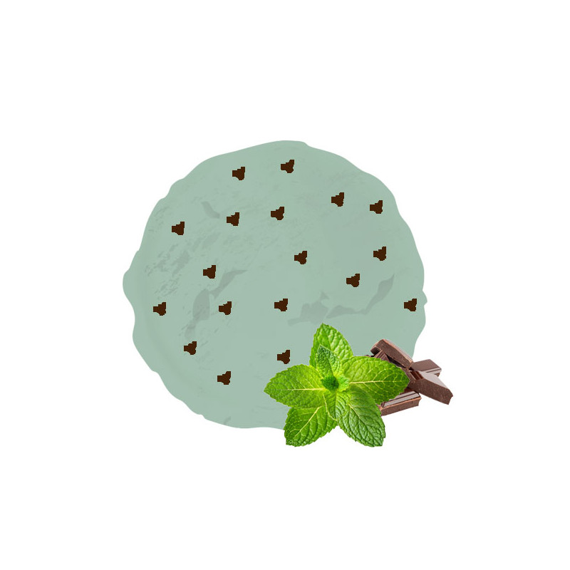Crème glacée menthe chocolat Van Den Casteele