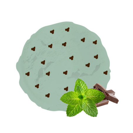 Crème glacée menthe copeaux de chocolat – Format familial 2,5 L
