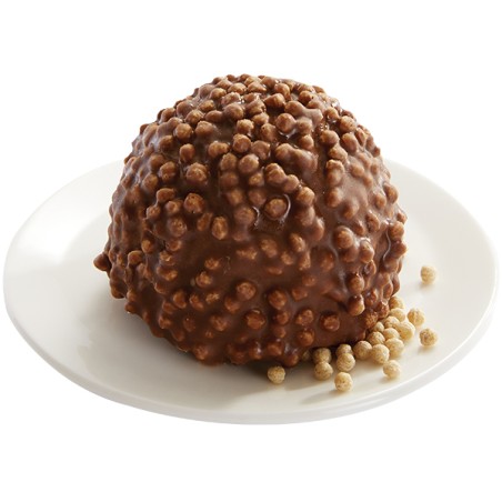 Un rocher glacé en gâteau individuel