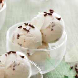 Glace Végétale Noix de Coco avec Copeaux de Chocolat Noir - Van Den Casteele