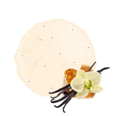Vanille Nougatine pour un parfum gourmand et savoureux