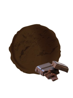 Crème glacée artisanale au chocolat noir vandencasteele