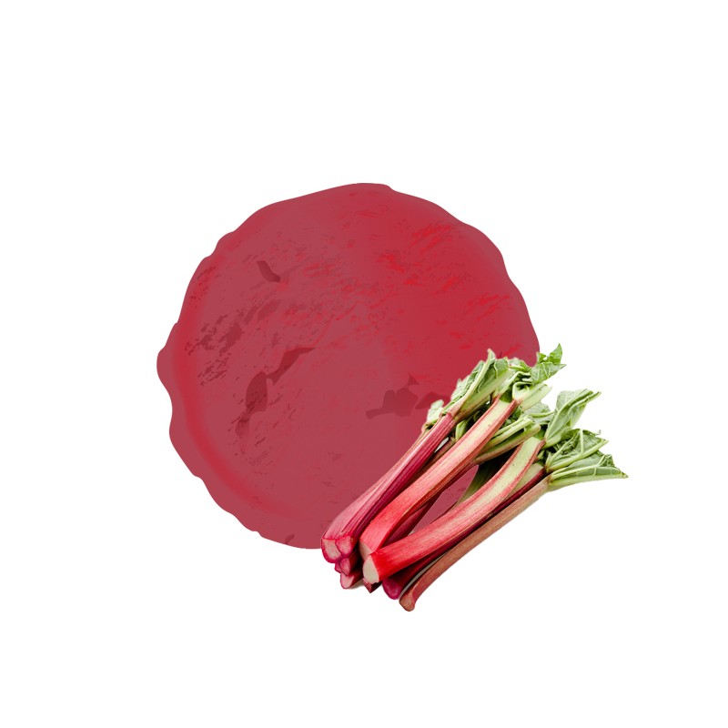 Le bon gout acidulé de la rhubarbe dans notre sorbet