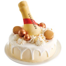 Le Champagne SPECULOOS