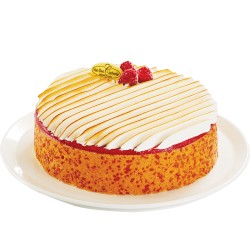 Pâtisserie glacée : le Framboisier !